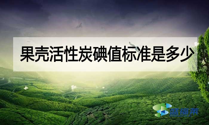 果殼活性炭碘值標(biāo)準(zhǔn)是多少？與其他活性炭相差多少？